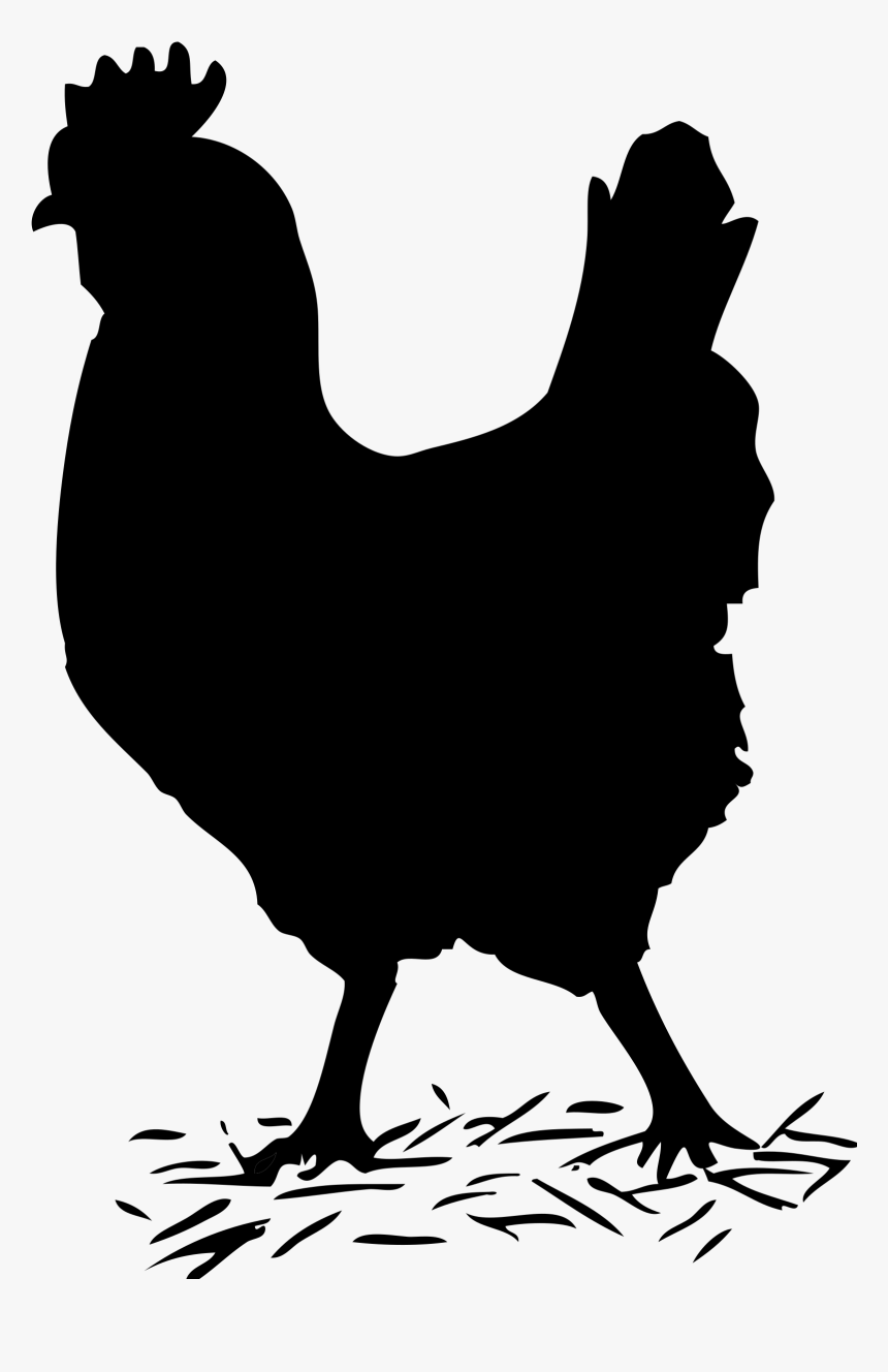 Black Solid Chicken Clip Arts - Hen Black And White, HD Png Download