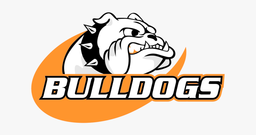 Cedarburg High School Logo Mascot North Shore Conference - Cedarburg High School Logo, HD Png Download
