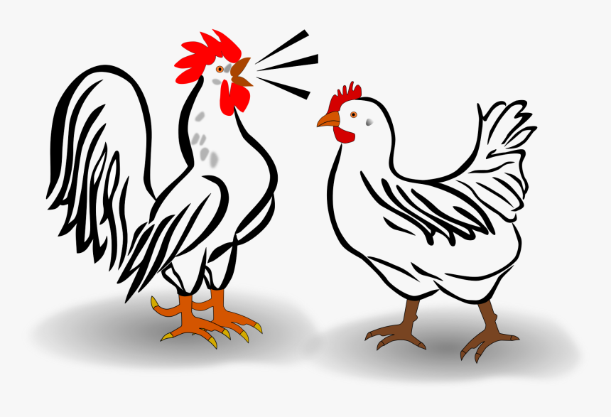 Rooster And Chicken Clip Arts - Rooster Clip Art, HD Png Download