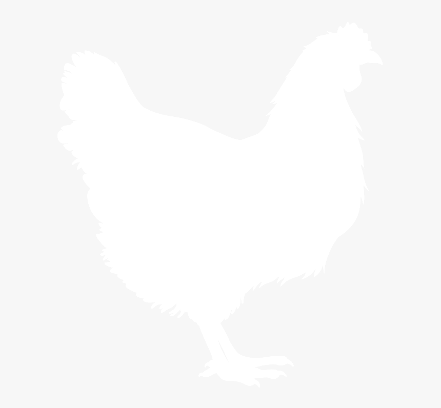 Chicken Silhouette V2 - Rooster Silhouette White, HD Png Download