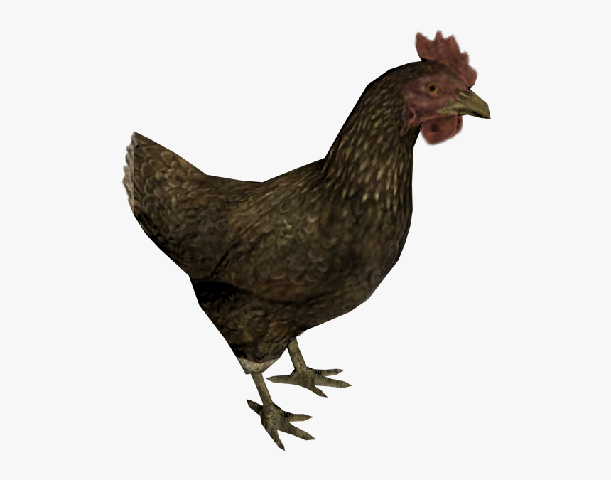 Download Zip Archive - Skyrim Png, Transparent Png