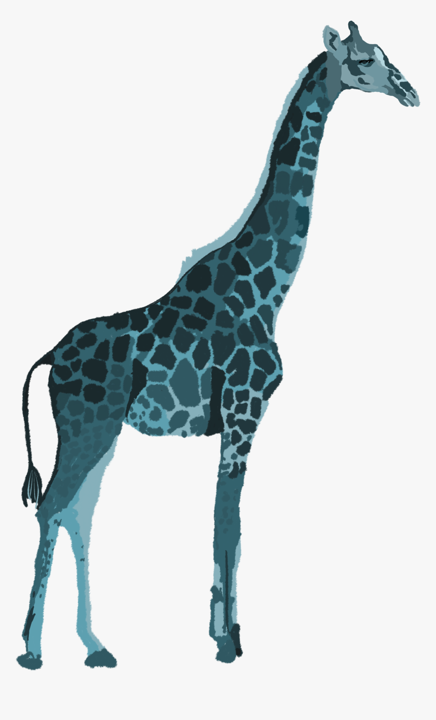 Transparent Giraffe Head Png - Giraffe, Png Download