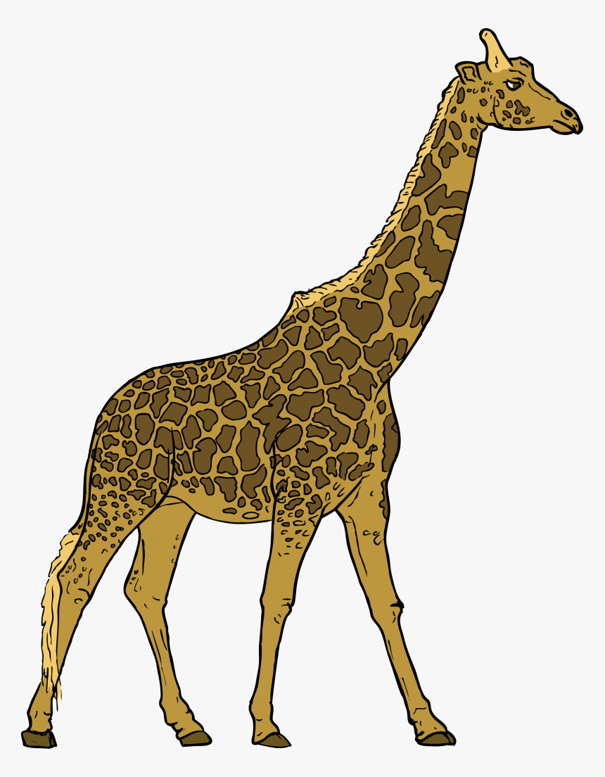 Download Giraffe Png Transparent Images Transparent - Transparent Background Giraffe Clip Art, Png Download