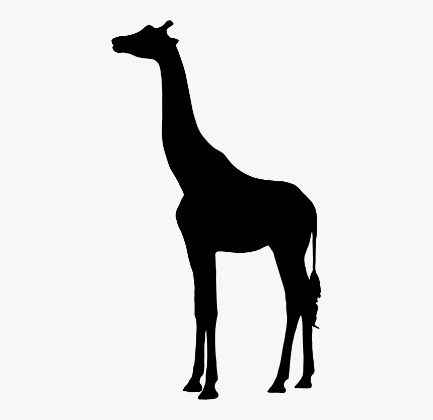 Horse Clip Giraffe - Giraffe Silhouette Clipart, HD Png Download