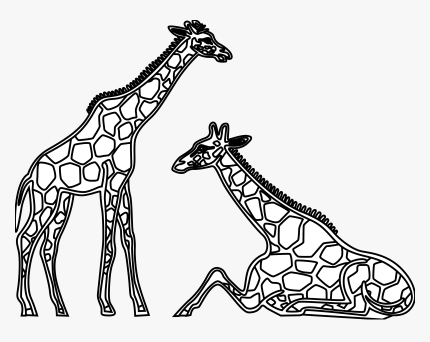 Panda Free Images - Giraffes Clipart Black And White, HD Png Download