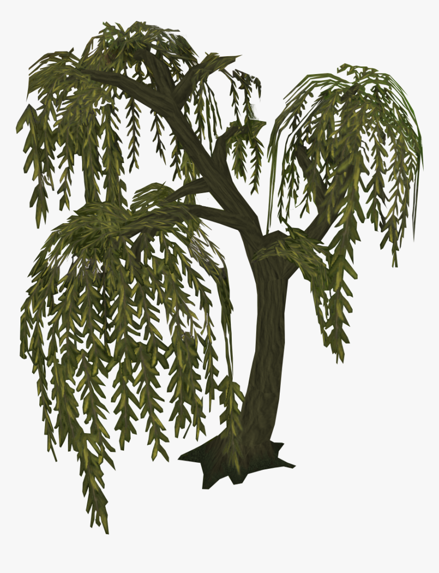 Willow Tree Runescape, HD Png Download