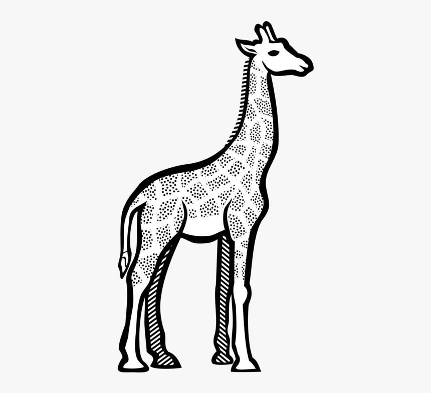 Monochrome Photography,artwork,deer - Clipart Image Of Giraffe, HD Png Download