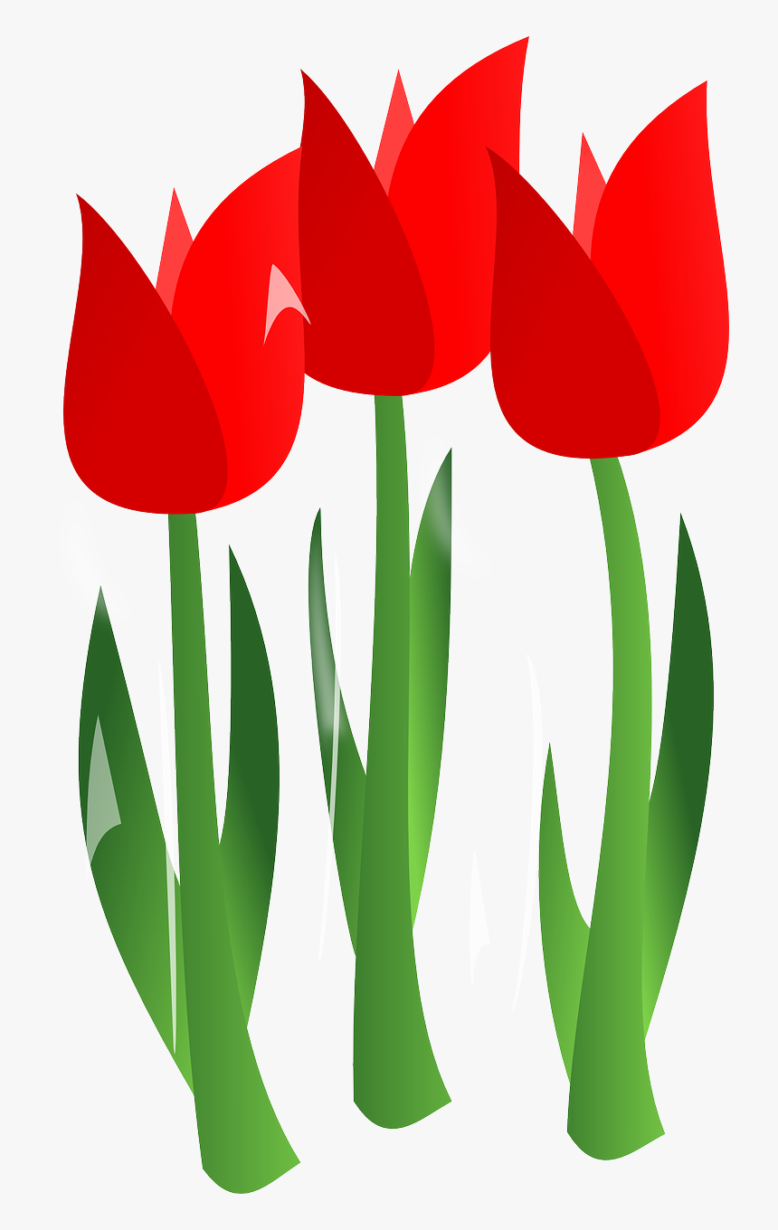 Mothers Day Flowers Cartoon, HD Png Download , Transparent Png Image
