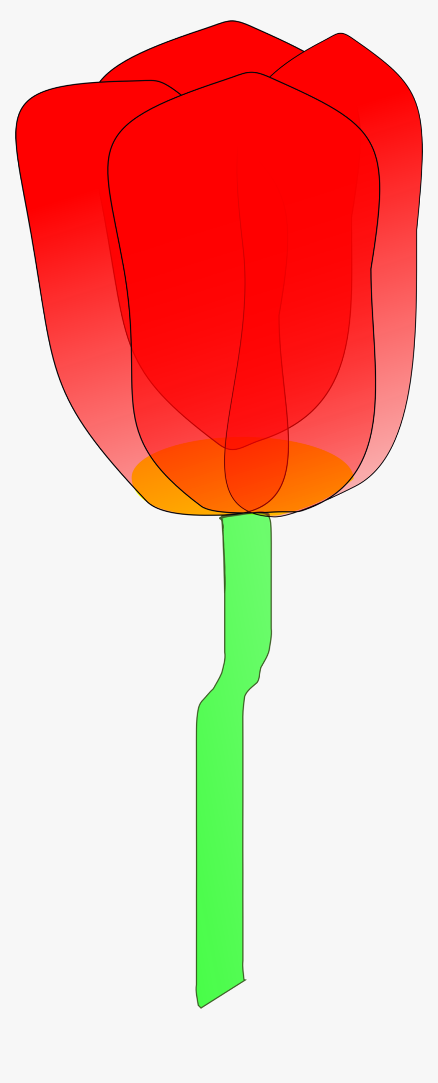 Png Tulipán - Clip Art, Transparent Png