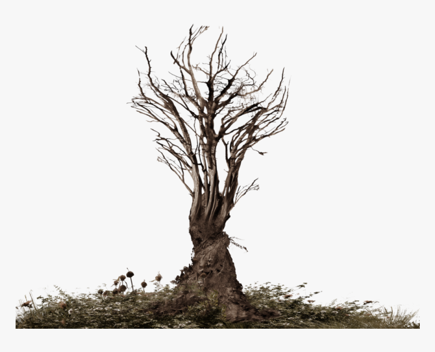Roots Tree Png Clipart - Root Png, Transparent Png