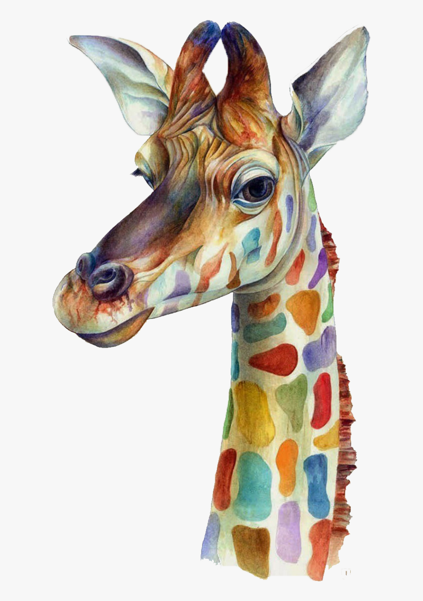 Watercolor Giraffe Plus Iphone 4s Png Download Free - Clipart Giraffe, Transparent Png