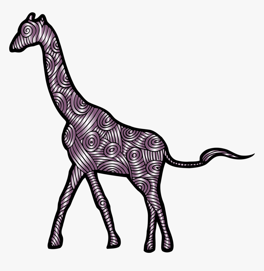 Giraffe Animal Mammal Free Picture - South Africa Clipart, HD Png Download
