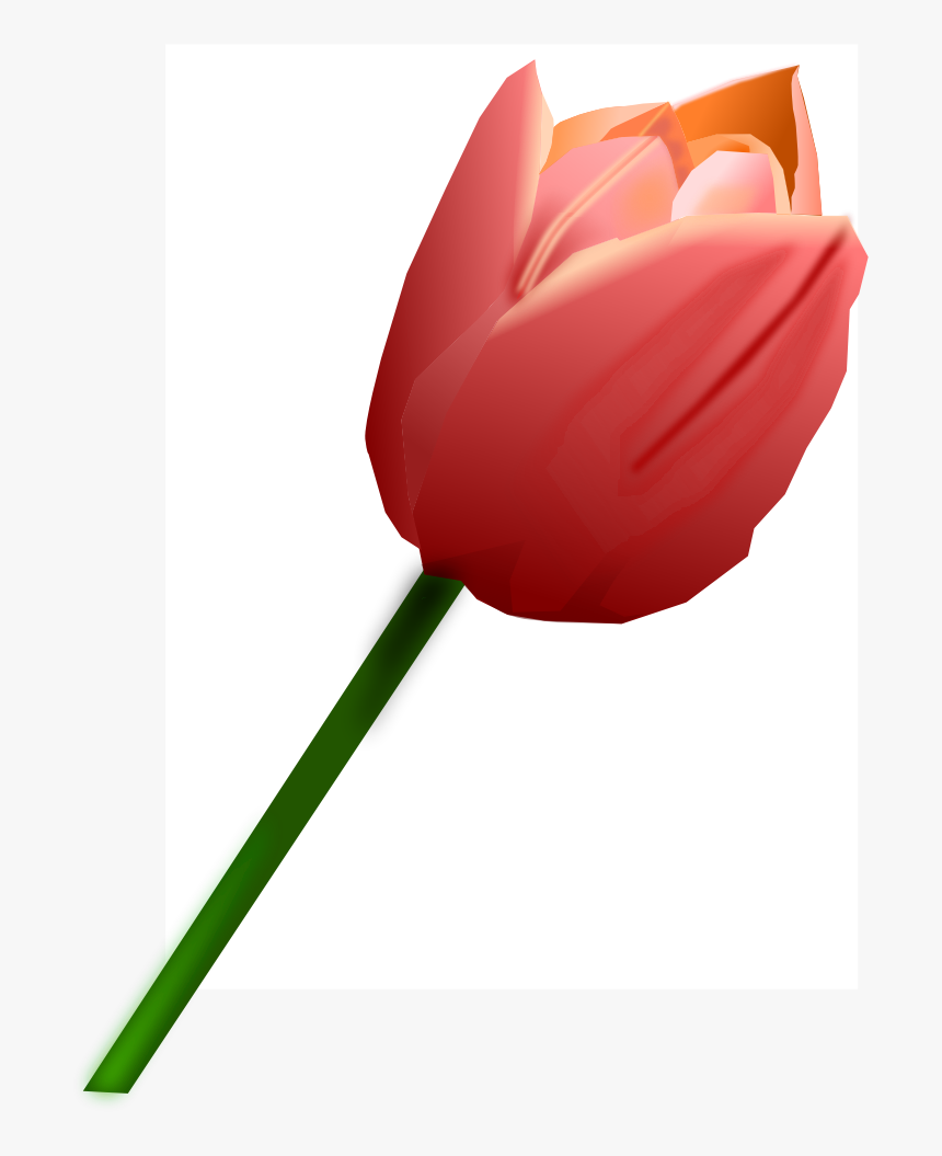 Pink Tulip Clip Arts - Clip Art, HD Png Download