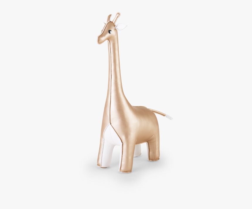 Giraffe, HD Png Download