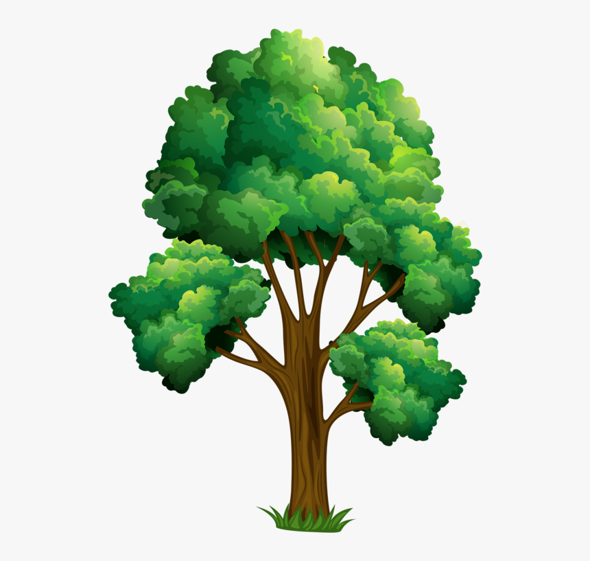 Elm Tree Clipart - Horse Chestnut Tree Clip Art, HD Png Download