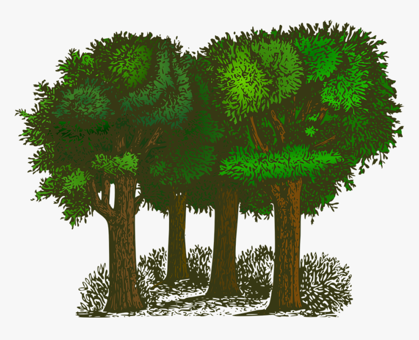 Balance Of Oxygen And Carbon Dioxide, HD Png Download