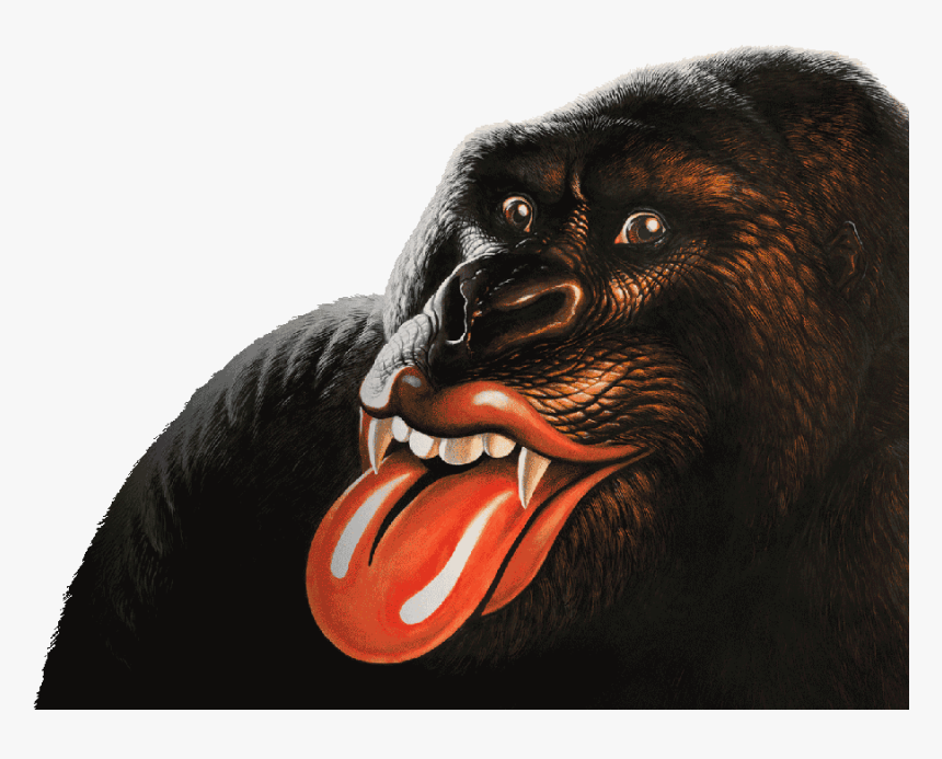 The Rolling Stones - Rolling Stones Albums Cd, HD Png Download
