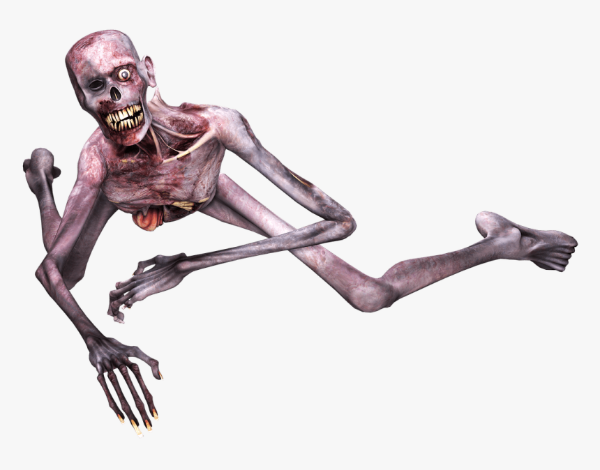 Zombie Fallen - Zombie Transparent, HD Png Download