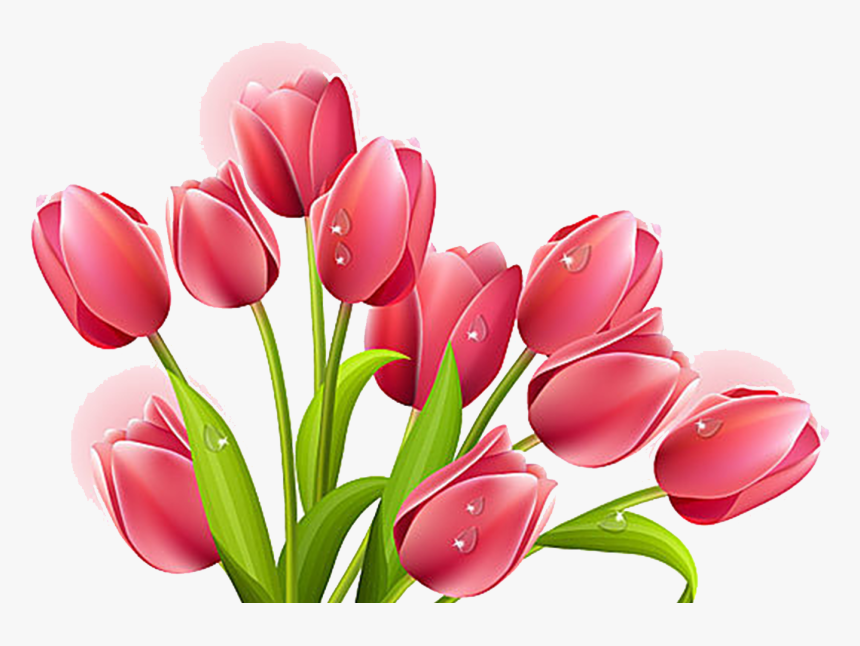 Transparent Red Tulip Png - Tulip Clipart Transparent Background, Png Download