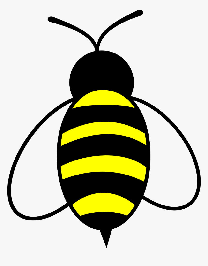 Bumble Bee Clip Art, HD Png Download