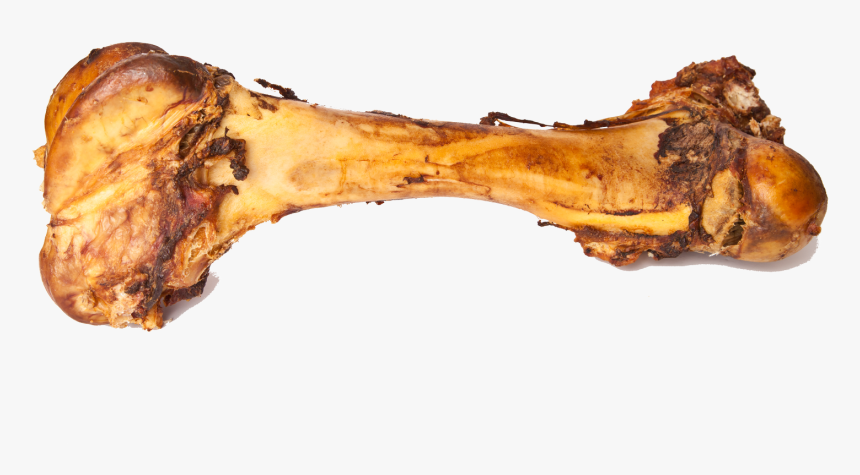 Duck Legs, HD Png Download