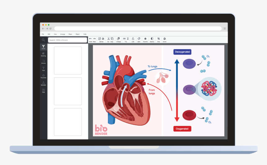 Illustration, HD Png Download