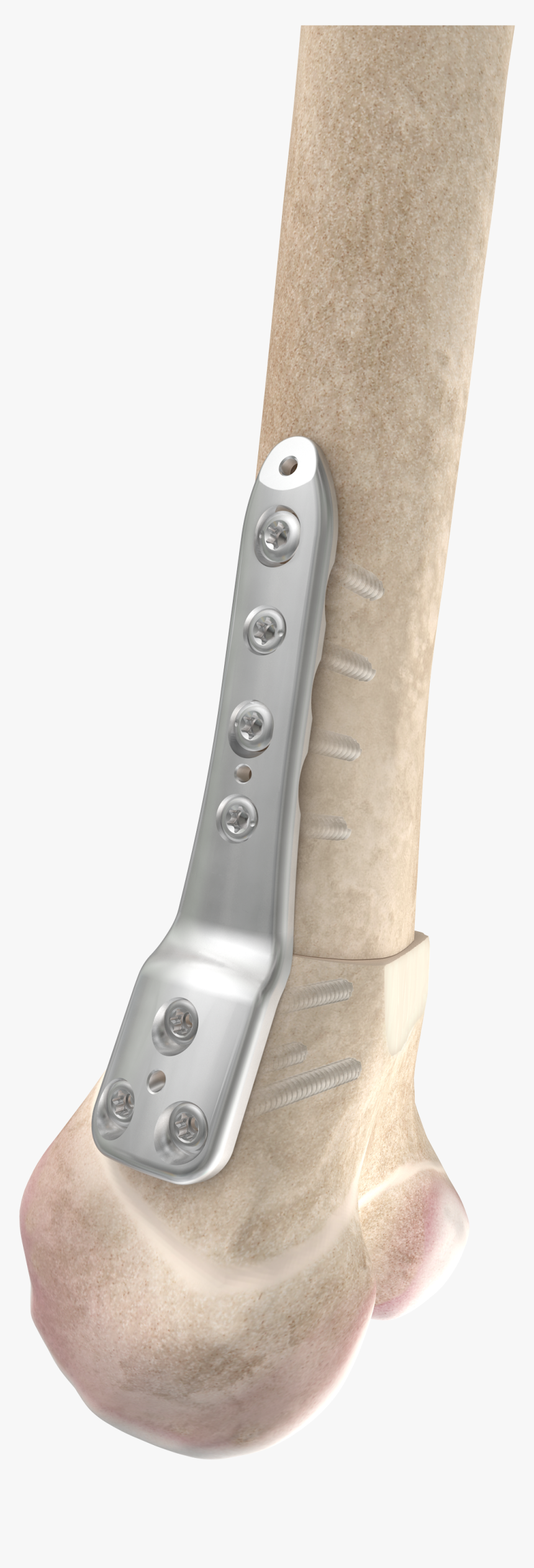 Dfos - Strap, HD Png Download