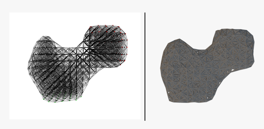 Femur, HD Png Download