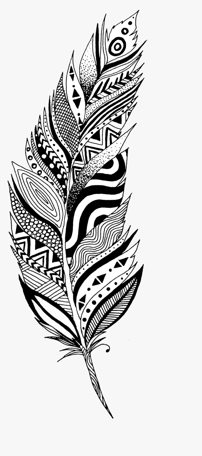 Black And White Feather Png, Transparent Png
