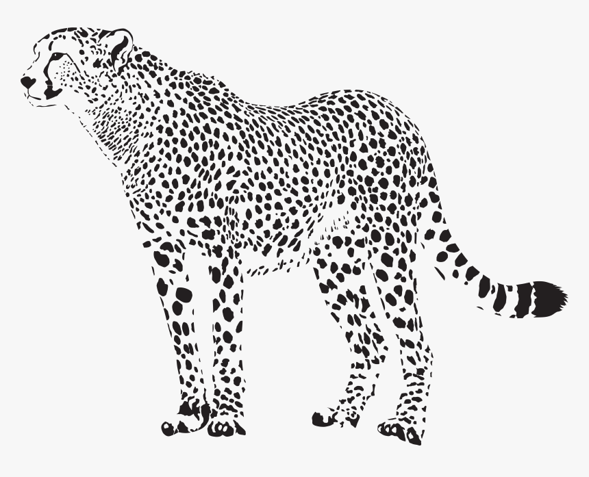 Cheetah Silhouette Png Transparent Clip Art Image, Png Download