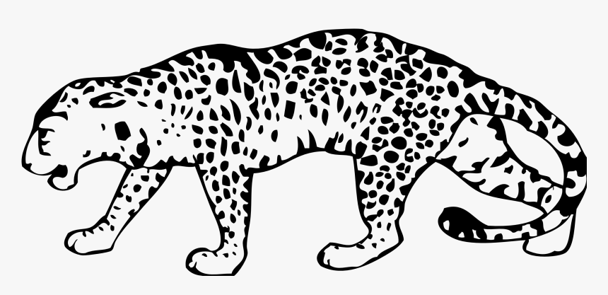 Black And White Picture Of Leopard, HD Png Download