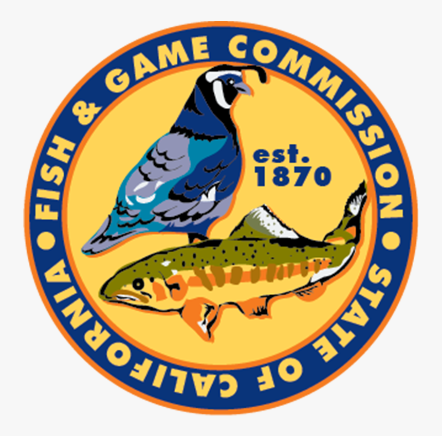 Trout, HD Png Download