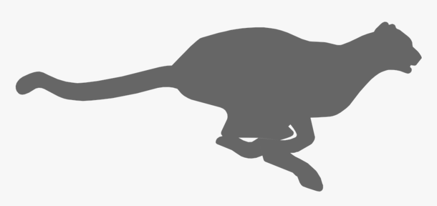 Cheetah, Animal, Fast, Run, Running, Wildlife, Cat - Cheetah Black Clipart, HD Png Download