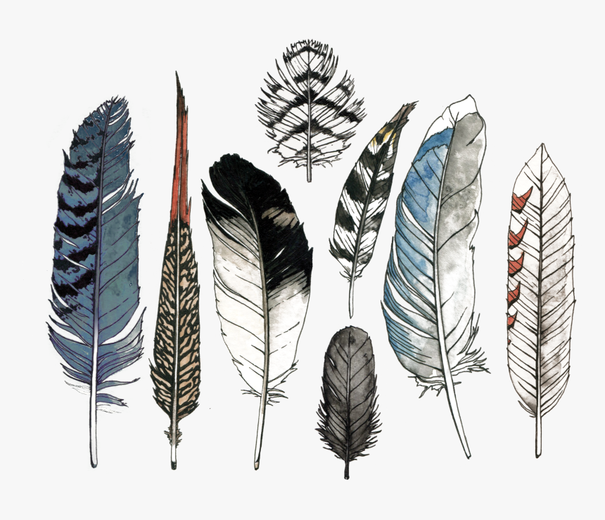 Feather Set, HD Png Download