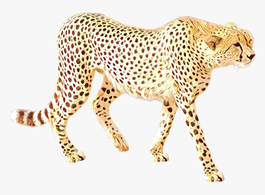 Cheetah Leopard Cat Jaguar Terrestrial Animal - Cheetah Leopard Transparent Background Realistic, HD Png Download