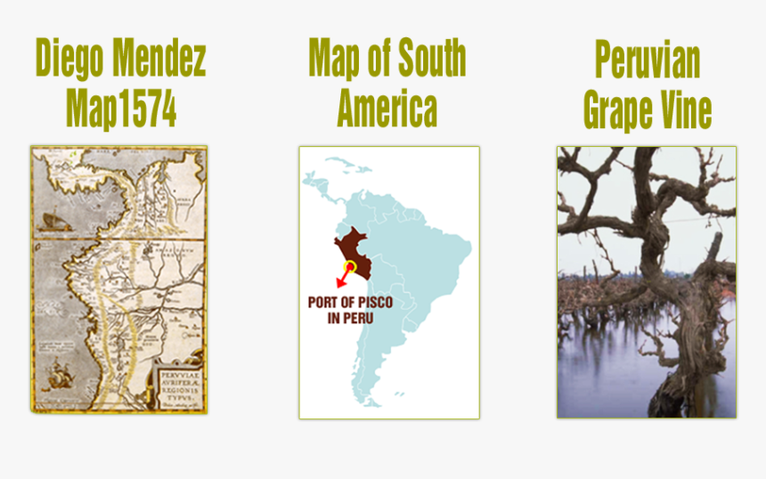 Tree, HD Png Download