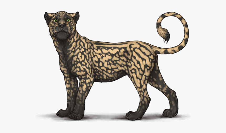 Fbns8ja - Lioden Sunset, HD Png Download