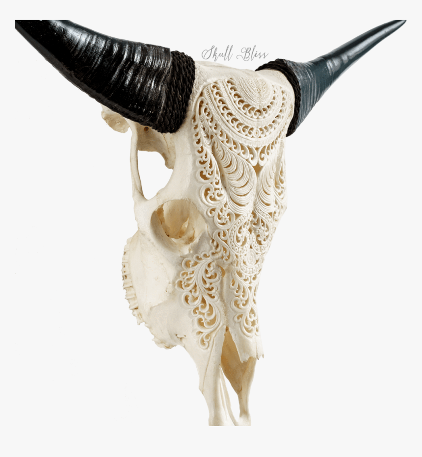 Horn, HD Png Download