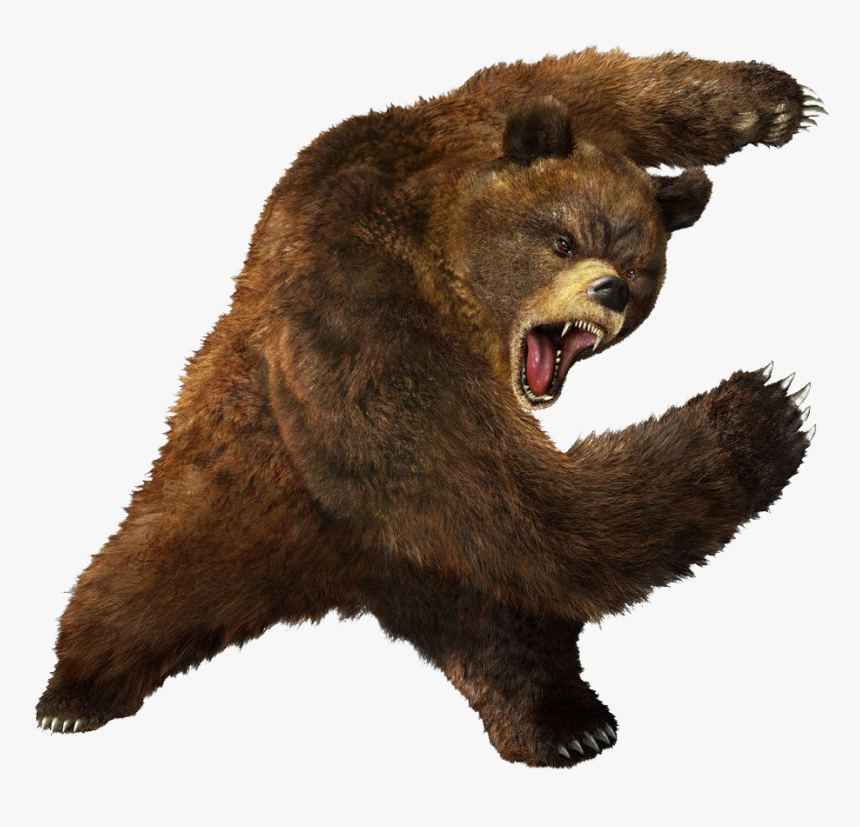 Bear Png Image Transparent - Tekken 5 Kuma, Png Download