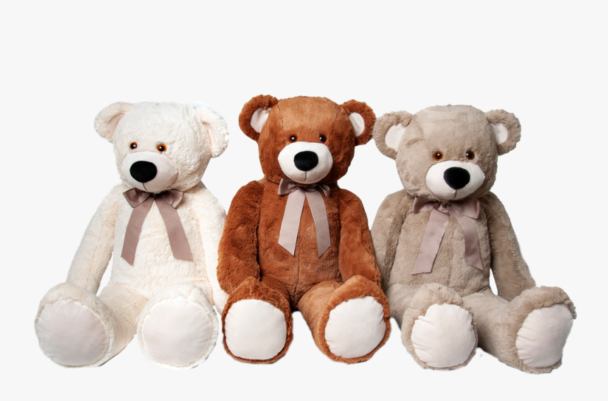 Bear, HD Png Download