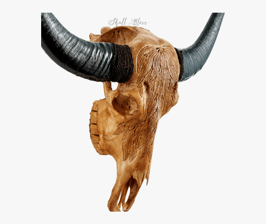 Carved Buffalo Skull - Bull, HD Png Download