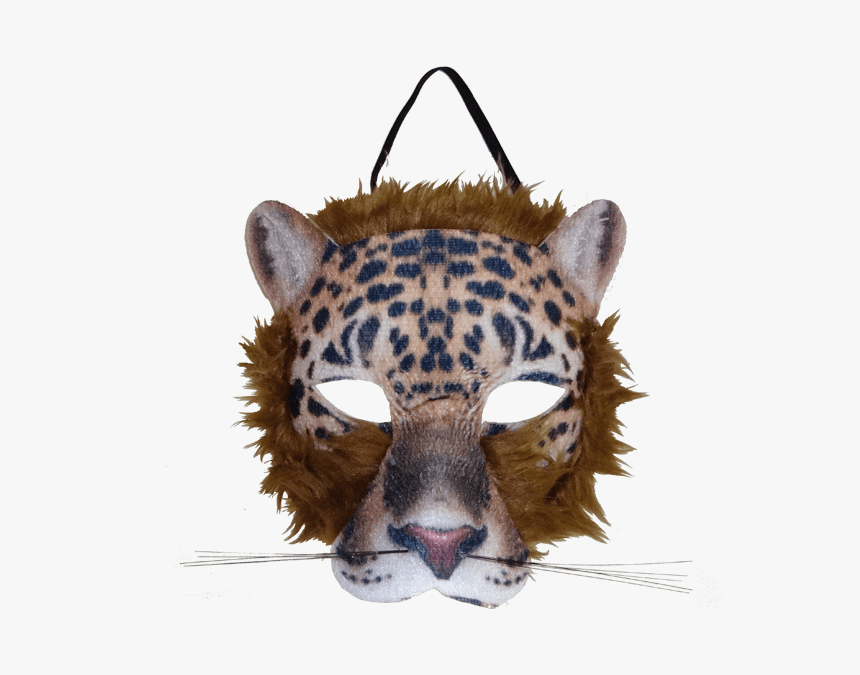 Cheetah, HD Png Download