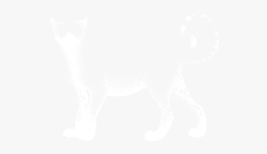 Cheetah, HD Png Download