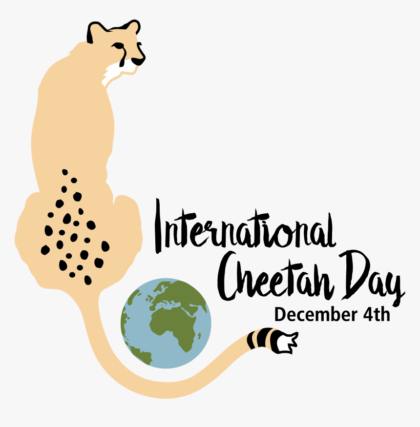 Happy International Cheetah Day, HD Png Download