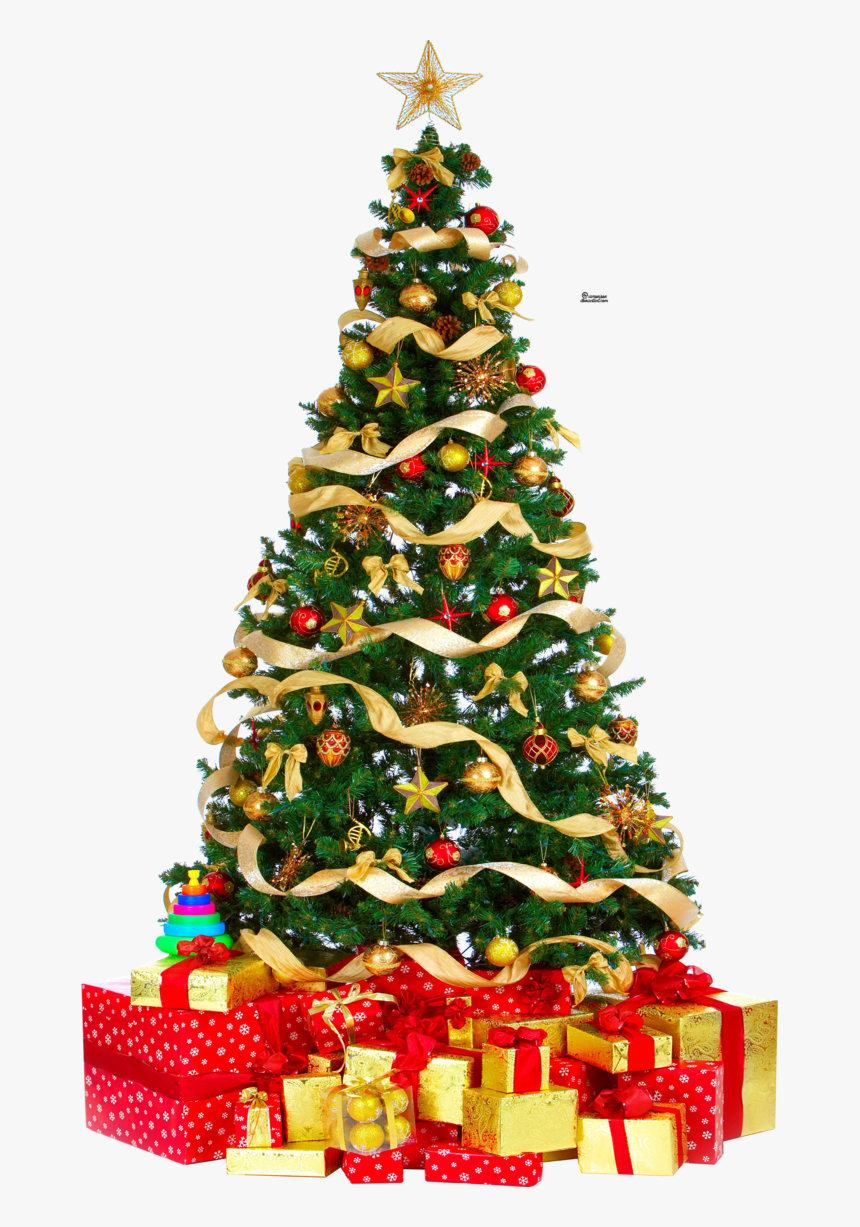Christmas Tree Png Pic - Christmas Tree Png Download, Transparent Png