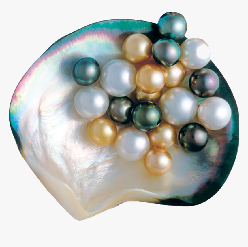 Pearl, HD Png Download
