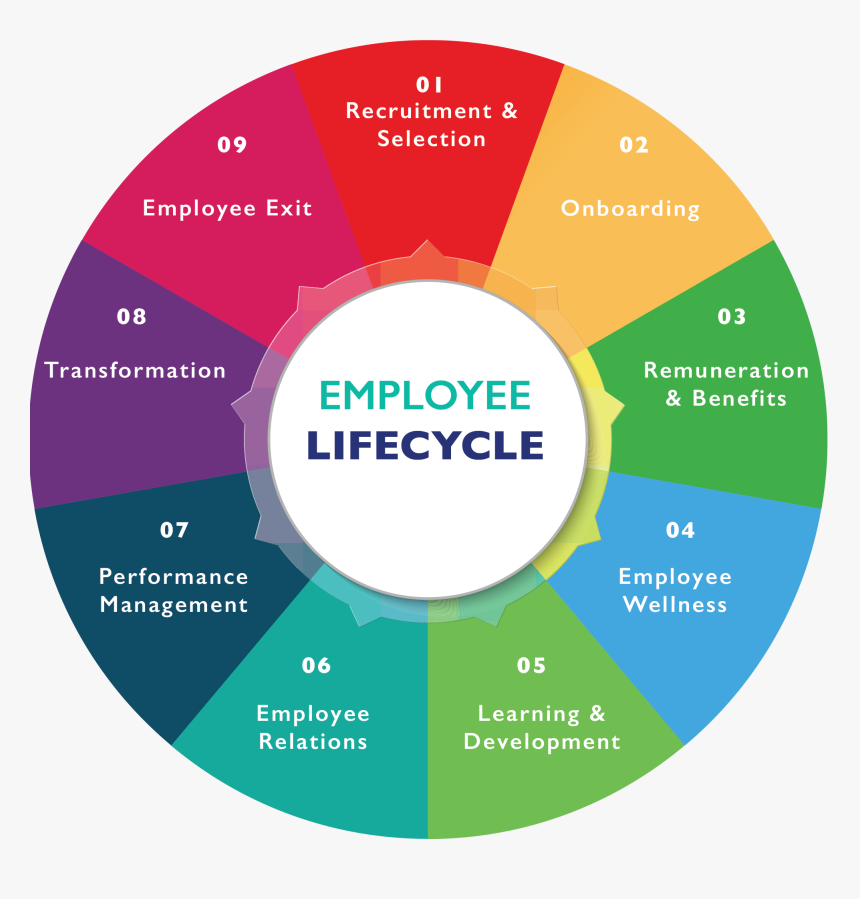 Circle, HD Png Download