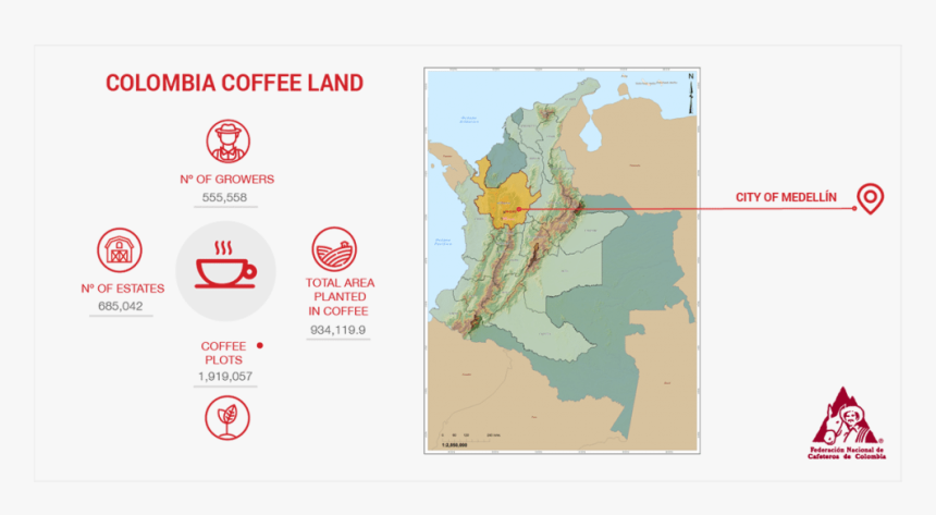 Stats About Coffee Production In Colombia - Coffee Grown In Colombia, HD Png Download