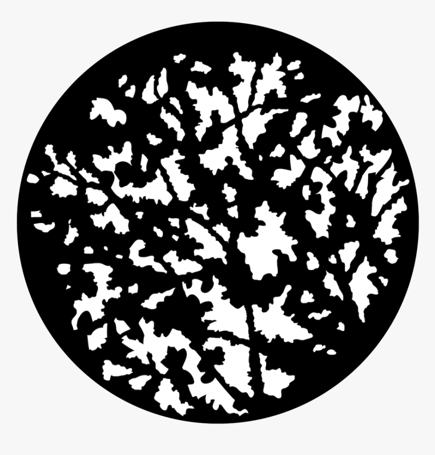Apollo Design 9075 Jagged Foliage Steel Pattern - Circle, HD Png Download