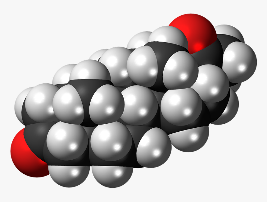 Dihydroprogesterone, Steroid, Hormone, Molecule, Model - Steroid Production By Bacteria, HD Png Download